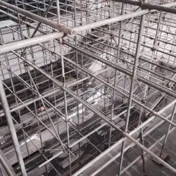 Birdcage 3.docx